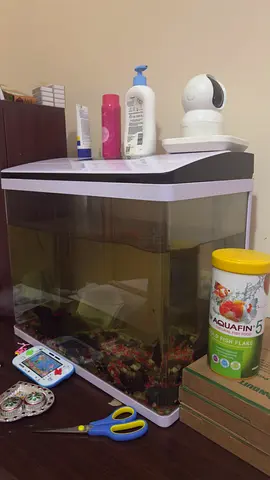 Aquarium