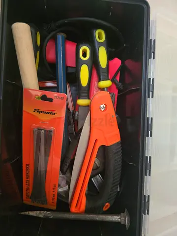 Small toolbox with assorted hand tools (pliers, cutters, nails)