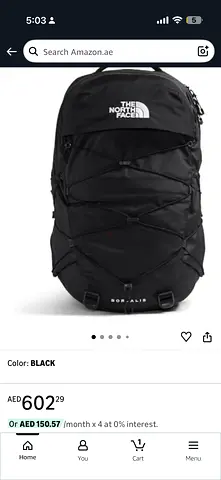 The north face bag broalis