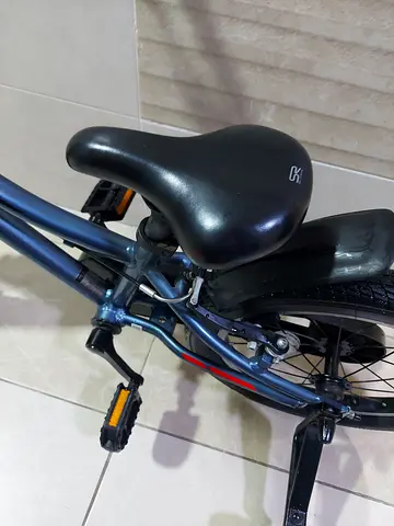 Giant animoter 16inches with trainer wheels