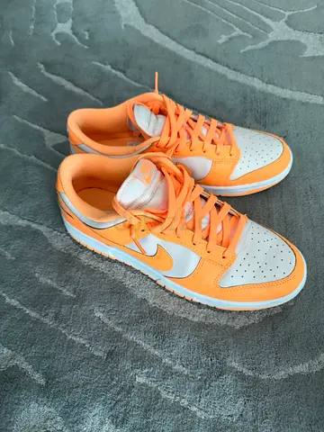 Nike SB Dunk