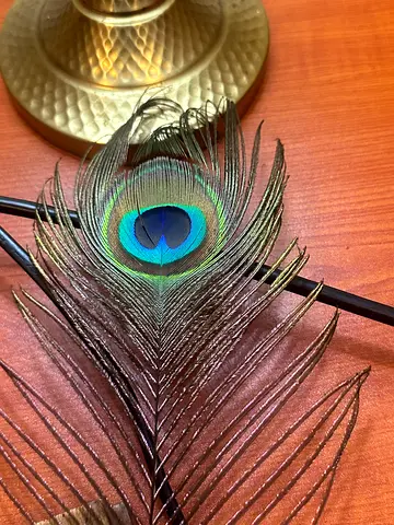 Single Decorative Peacock Feather - Natural (Each = 2 aed)