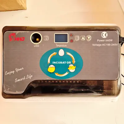 Small countertop egg incubator (portable) - works well