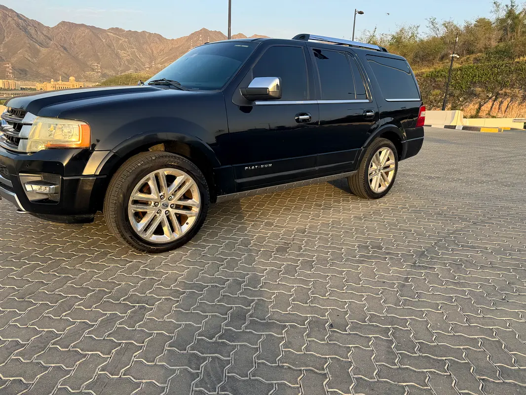 Ford Expedition 2016 — photo 1 of 20