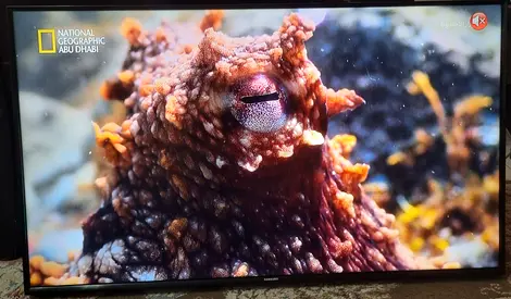 Full HD 40 inch Samsung LED TV with Wall Mount - Very Good Condition