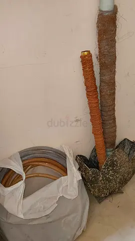 Plant pots