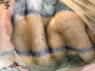 Soft Plush Faux Fur bed cover /Throw - Beige  Blue