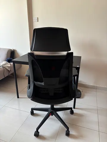 Office Setup