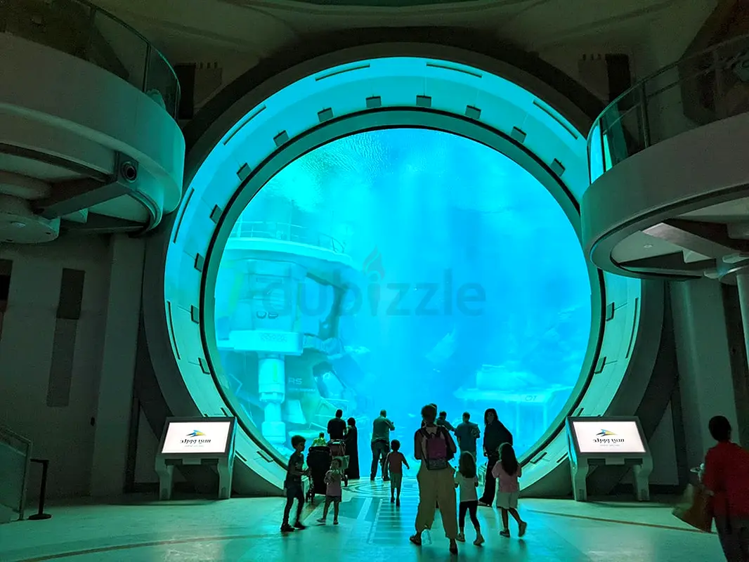 DPV_View_Image_4