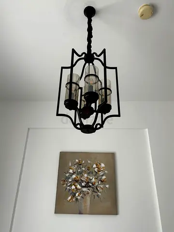 Light Fixture Chandelier / Pendant