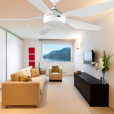 54-inch white DC motor modern ceiling fan DOX65B