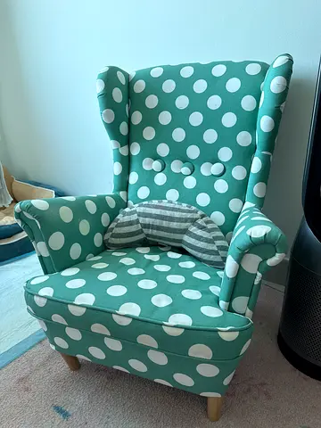 Polka Dot Wingback Armchair in Mint — Good Condition
