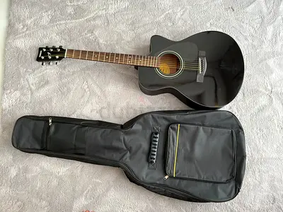 Acoustic Guitar