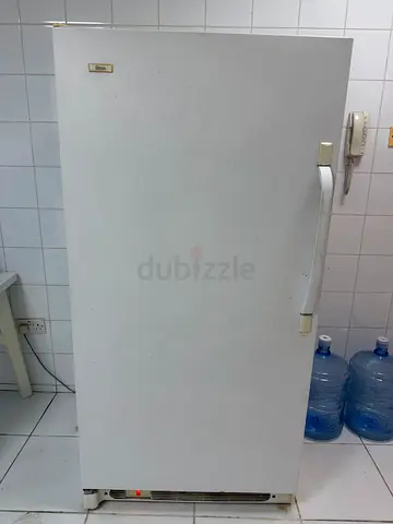 Gibson White Single-Door Freezer — Good Working Condition