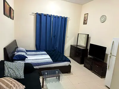 Super Deal## Amazing fully furnished studio only 3499 including bills in silicon oasis