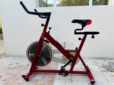 EXERCISE CYCLE