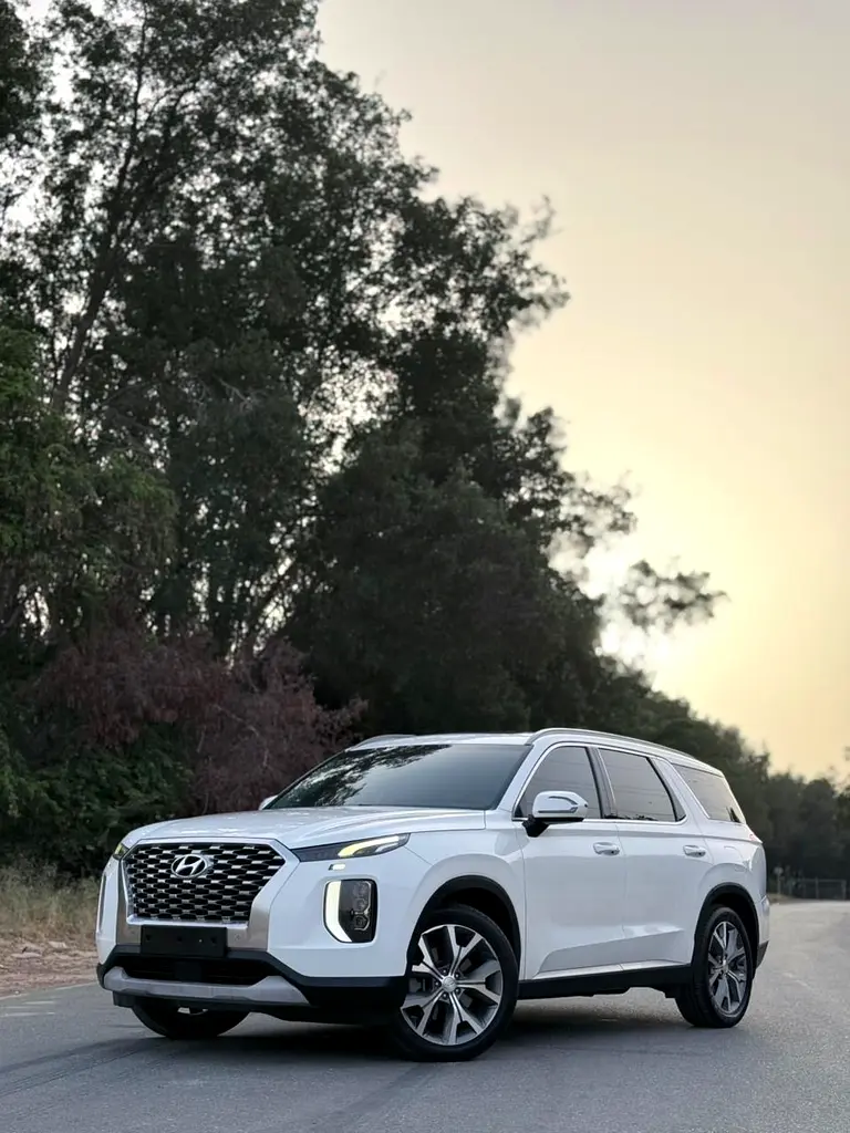 Hyundai Palisade 2020 — photo 1 of 20