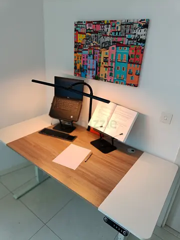 Adjustable Electric Standing Desk (160 x 76 cm) Bundle with Adjustable Book Stands and Lamp