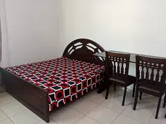 Furnished master bedroom for couple or single