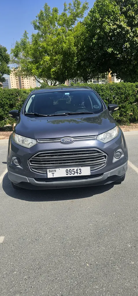 Ford Ecosport 2017 — photo 1 of 15