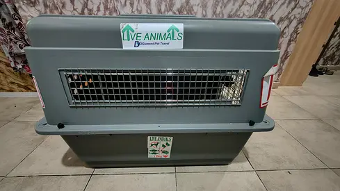 Sturdy Large Pet Travel Crate — Good Condition 1 time use USA to Dubai.