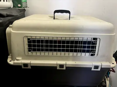 IATA crates for pet traveling