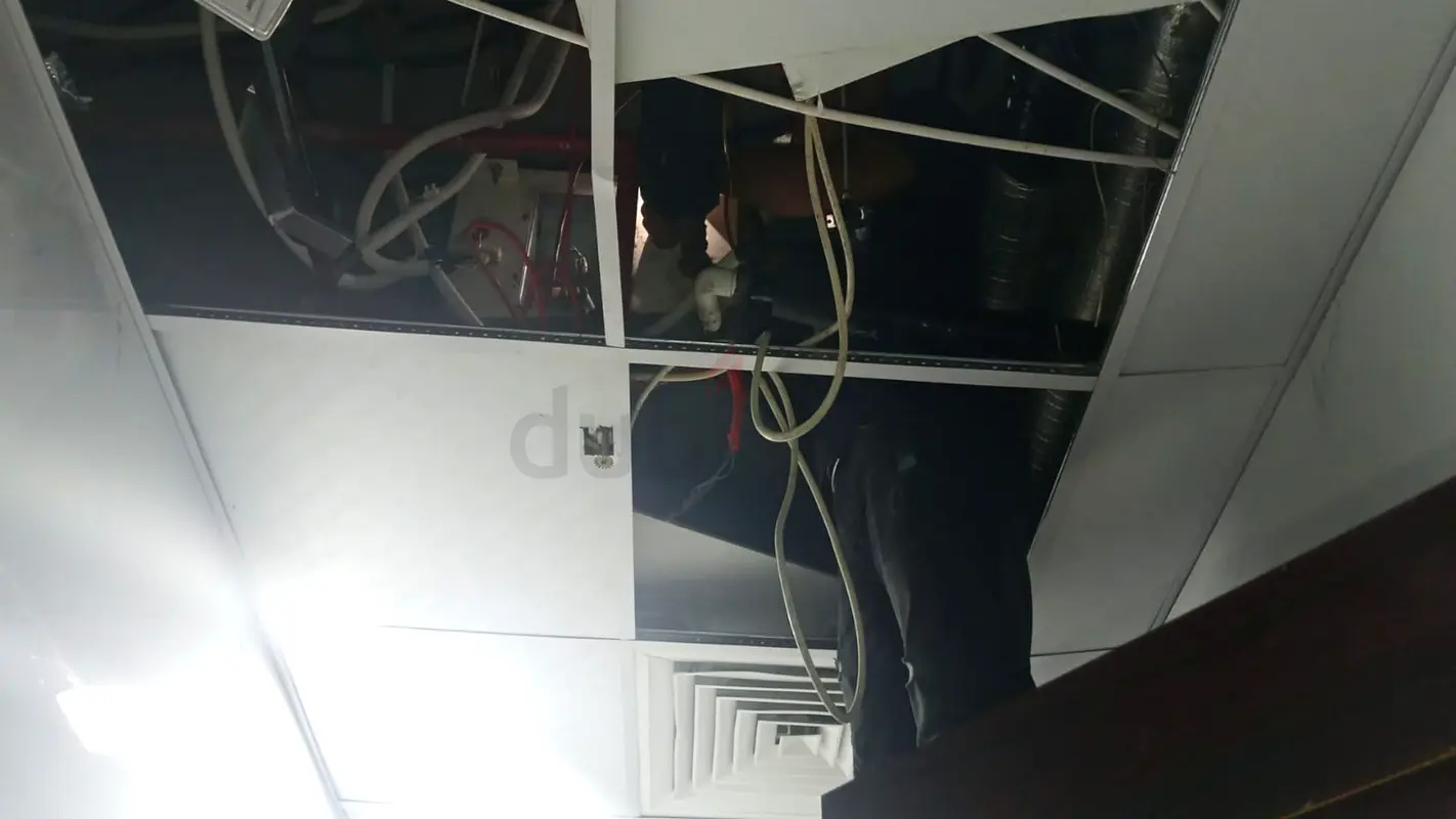 DPV_View_Image_1