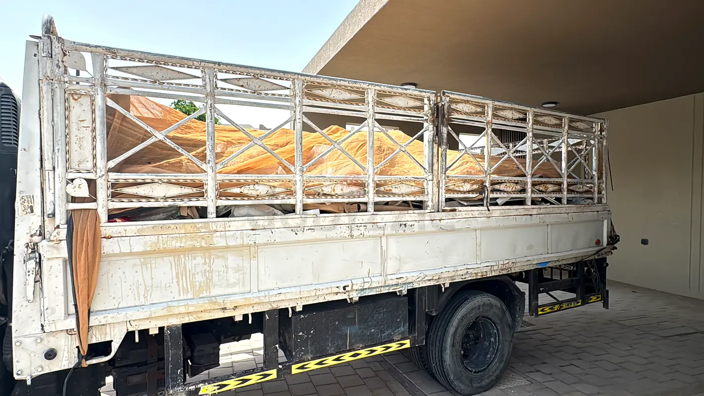 DPV_View_Image_2