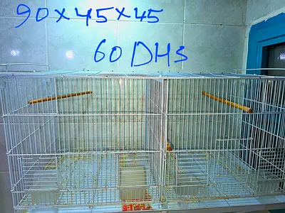 Cages and birds accessories