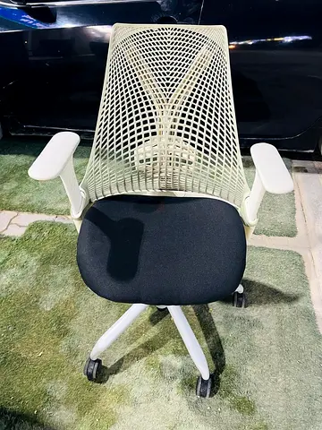 Herman Miller sayl chair
