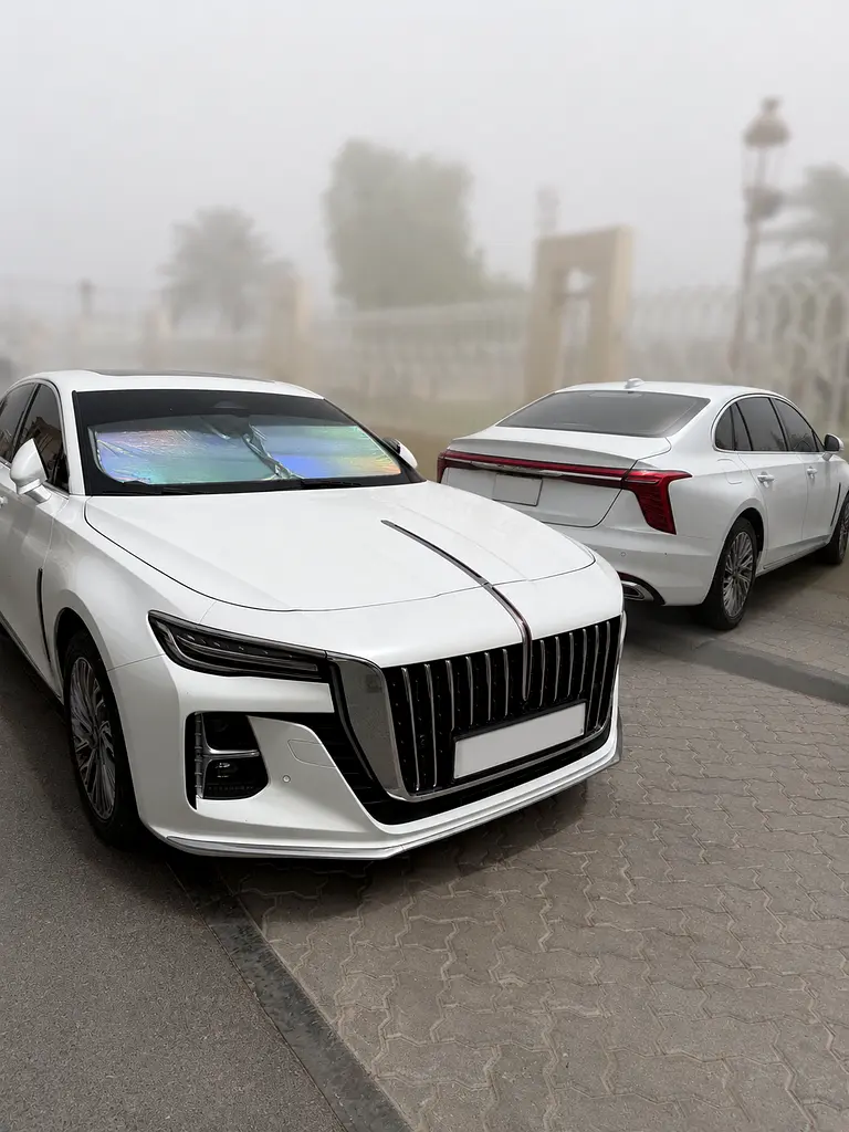 Hongqi Ousado 2024 — photo 1 of 4