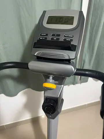 Real Leader Home Bike