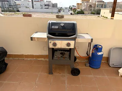 Weber spirit 2