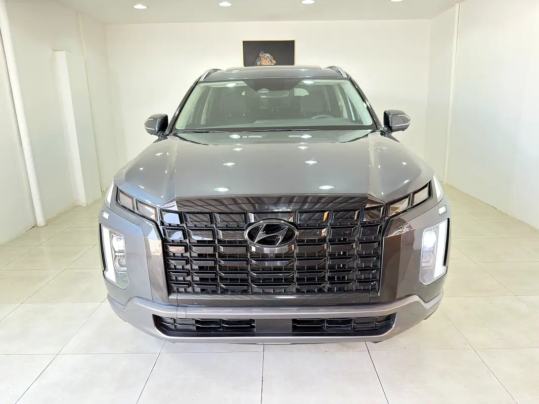 Hyundai Palisade 2024 — photo 1 of 16