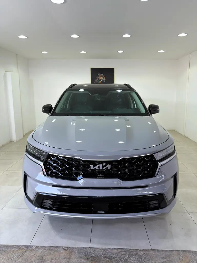 Kia Sorento 2023 — photo 1 of 10