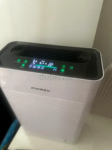 Portable Air Purifier (PINTEK) — Good Condition