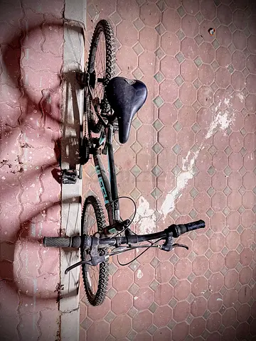 Upland Mountain Bike for Sale