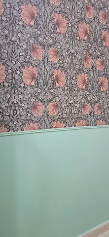 Wall paint pastel green 3.8L tub