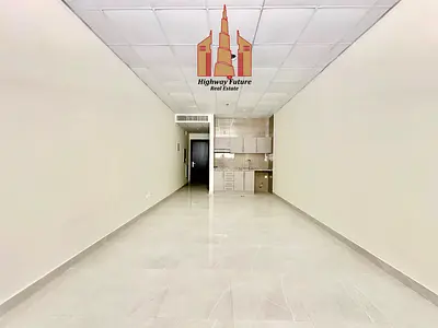 Like A New Spacious Studio Apartment With Separate Kitchen 34K