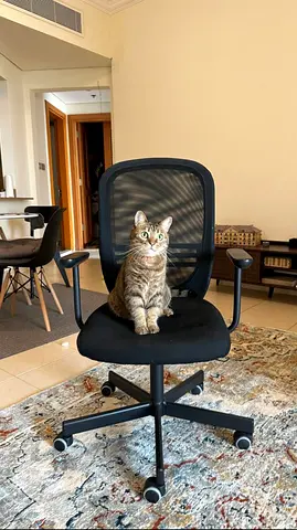 IKEA office chair