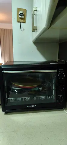Electric oven