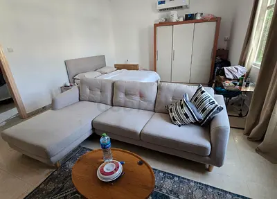 L shape sofa