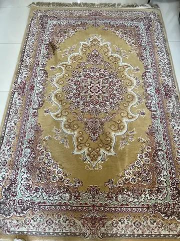 Beige Traditional Middle Eastern/Indian Area Rug - Good Condition