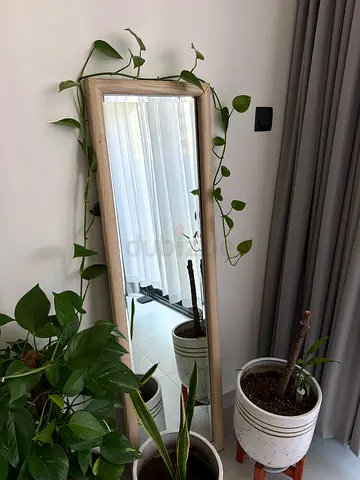 Full length Mirror