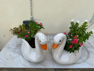 Pair of Ceramic Swan Planters with Winkas  Decorative Garden Set