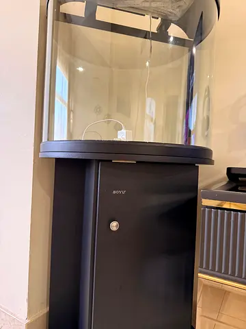 📣 Premium BOYU Smart Aquarium for Sale! 🐠✨