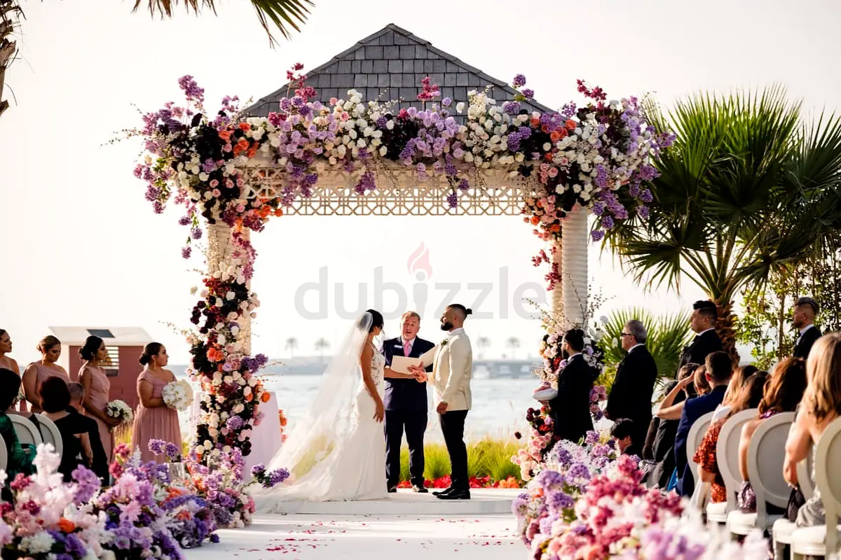 DPV_View_Image_6