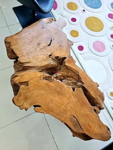 Marina Home Teak Root Live Edge Coffee Table Sculpture