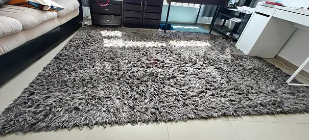 Large Grey Shaggy Area Rug - Soft High Pile