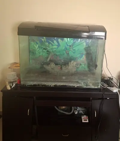 Fish aquarium For sale